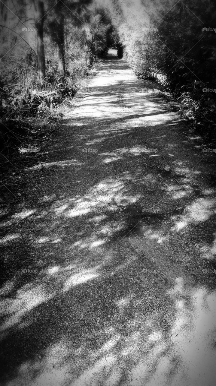 A long, dark, lonely path.