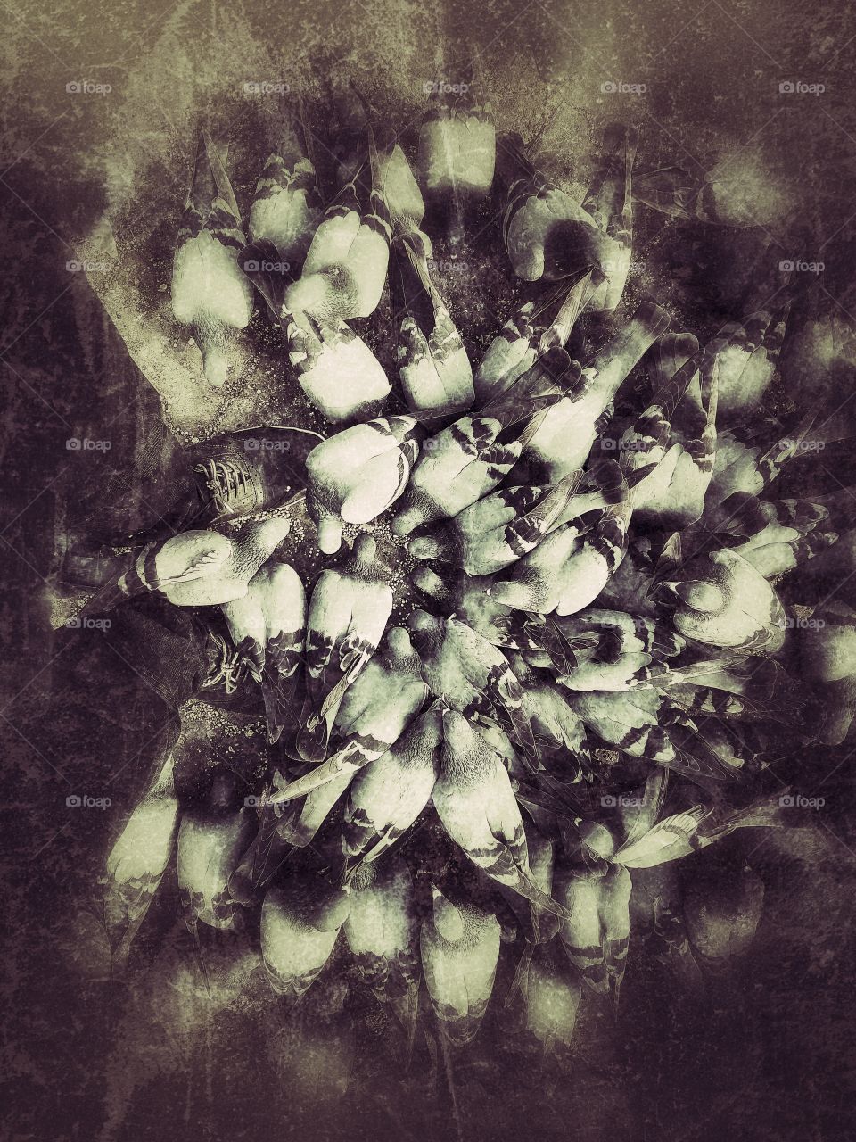 People, Group, Adult, Many, Wear