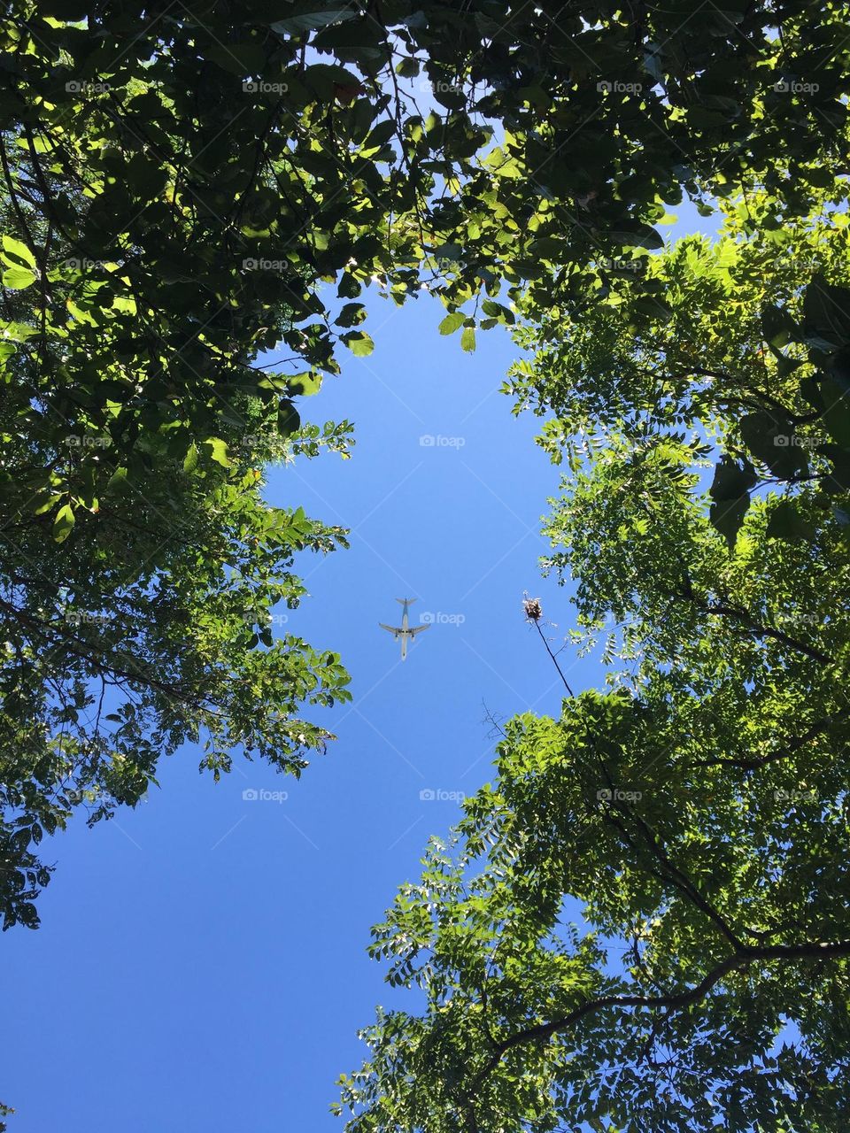 Accidentally Capturing Aircraft