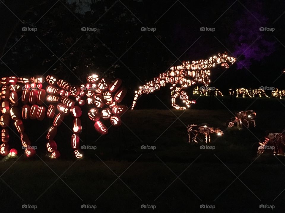 The Great Jack O’Lantern Blaze