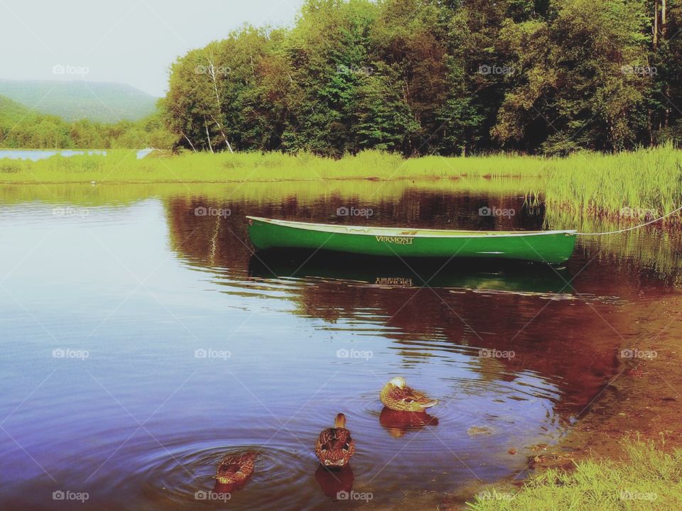 Green canoe. A green canoe in Vermont on a lake with ducks