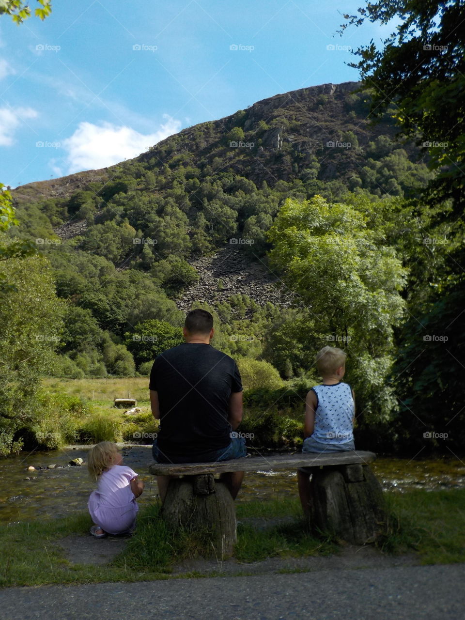 Rear view of a family sitting on wooden bench