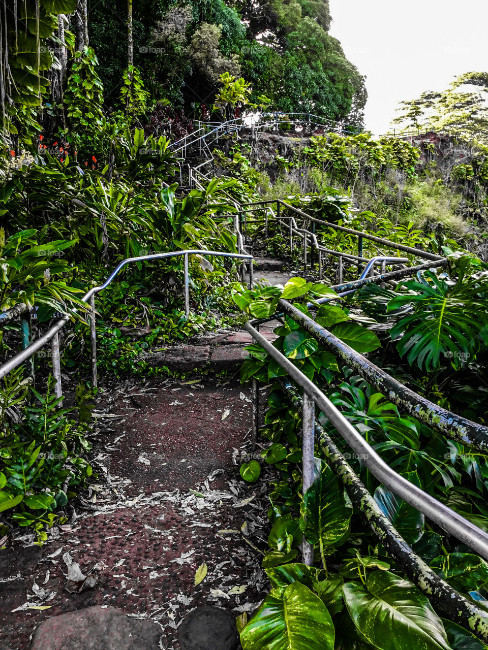 Stairway at Rainbow Falls in Hilo, Hawaii