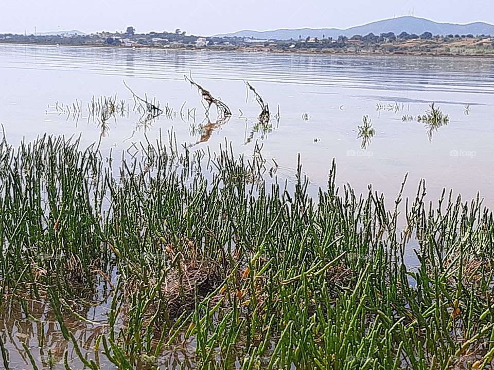 Lagoon site from the island