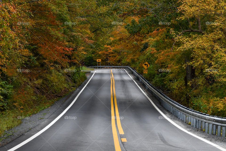 On the Road in Fall