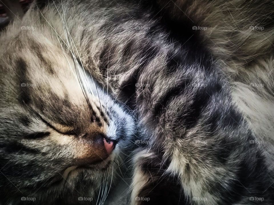 it was a long adventurous day