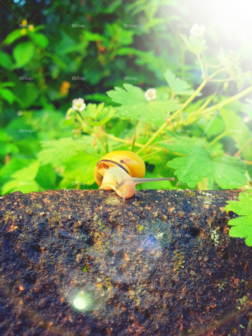 what are you doing there  ?????