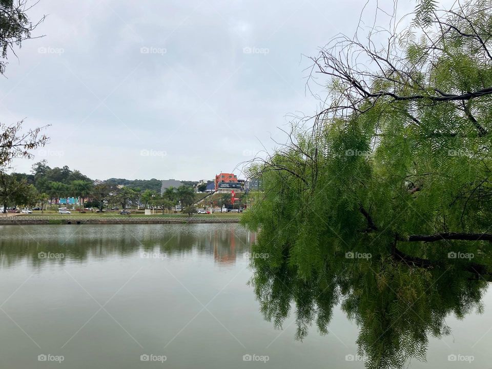 Na manhã chuvosa de 2ª feira, ainda há beleza mesmo no tempo lusco-fusco.
Olhe aí o Lago do Taboão, em Bragança Paulista, tão bonito.