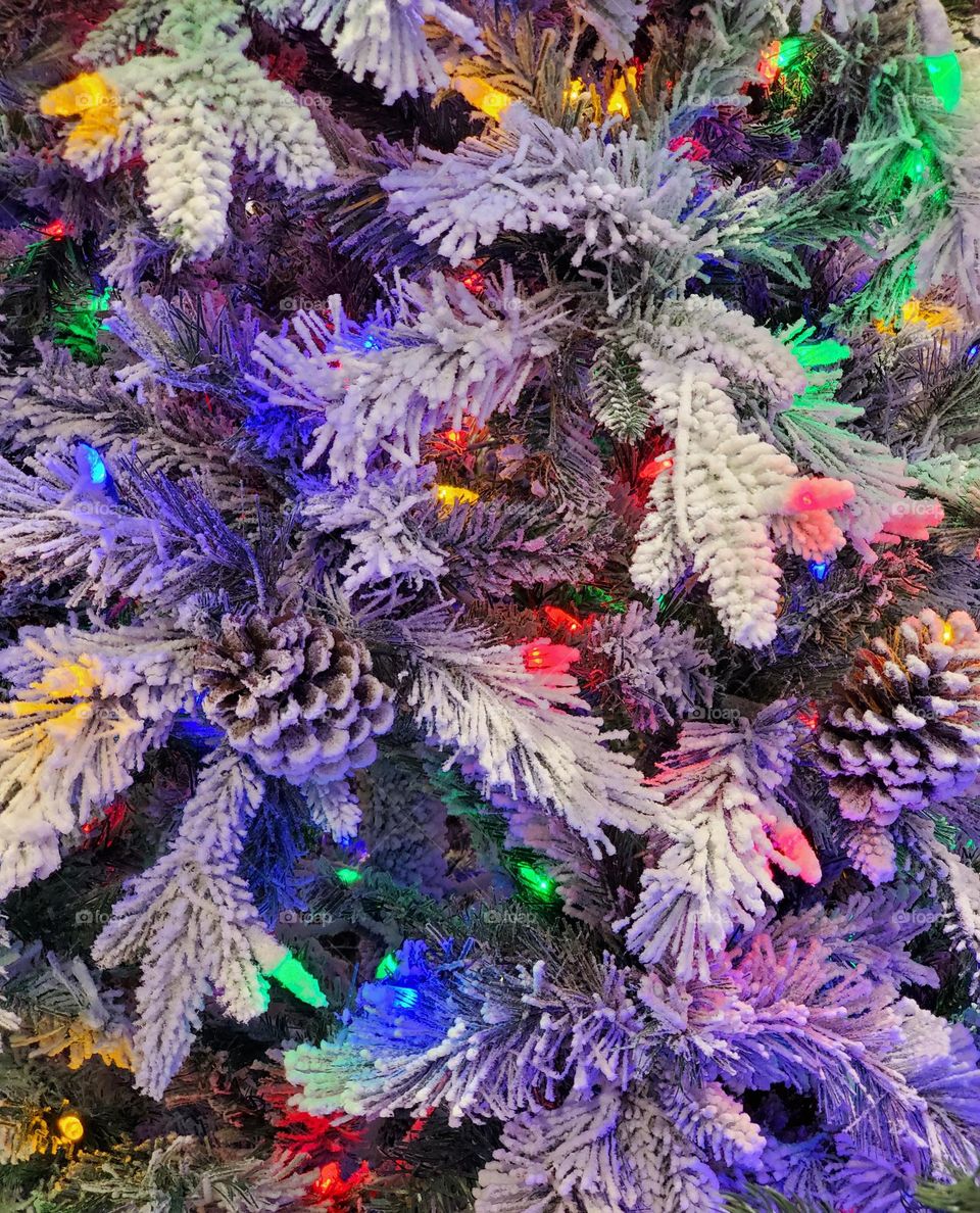 Christmas Tree of Snow and Lights