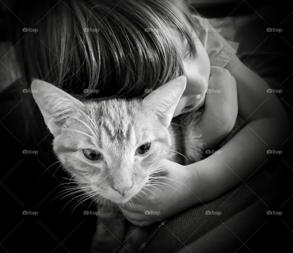 Kittens and kids are the perfect pair! Black and white  of child hugging young cat 