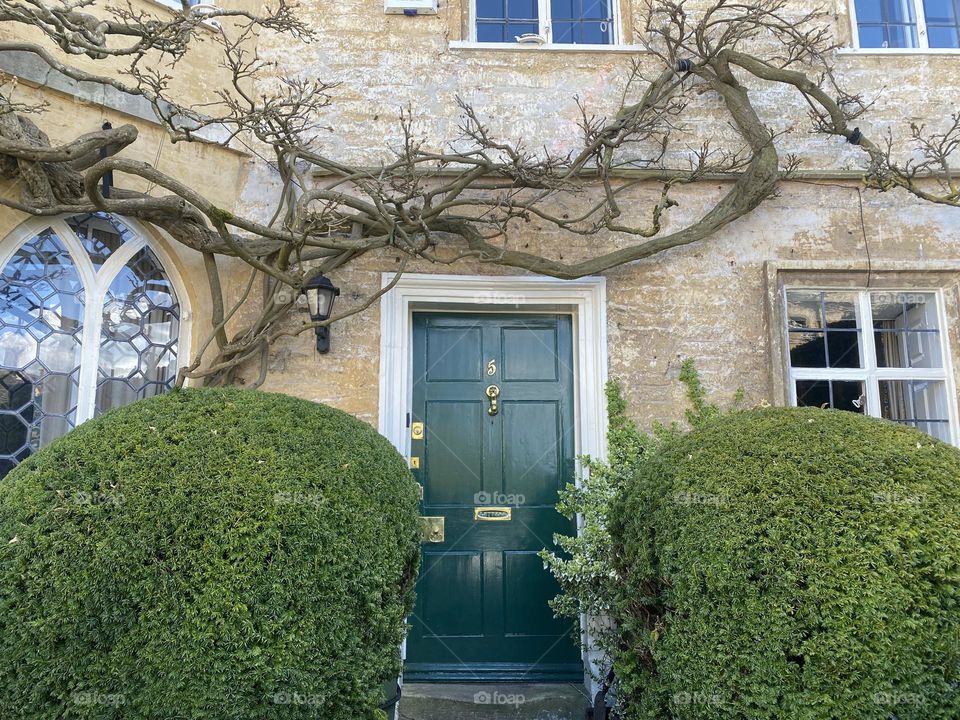 Tree on the house