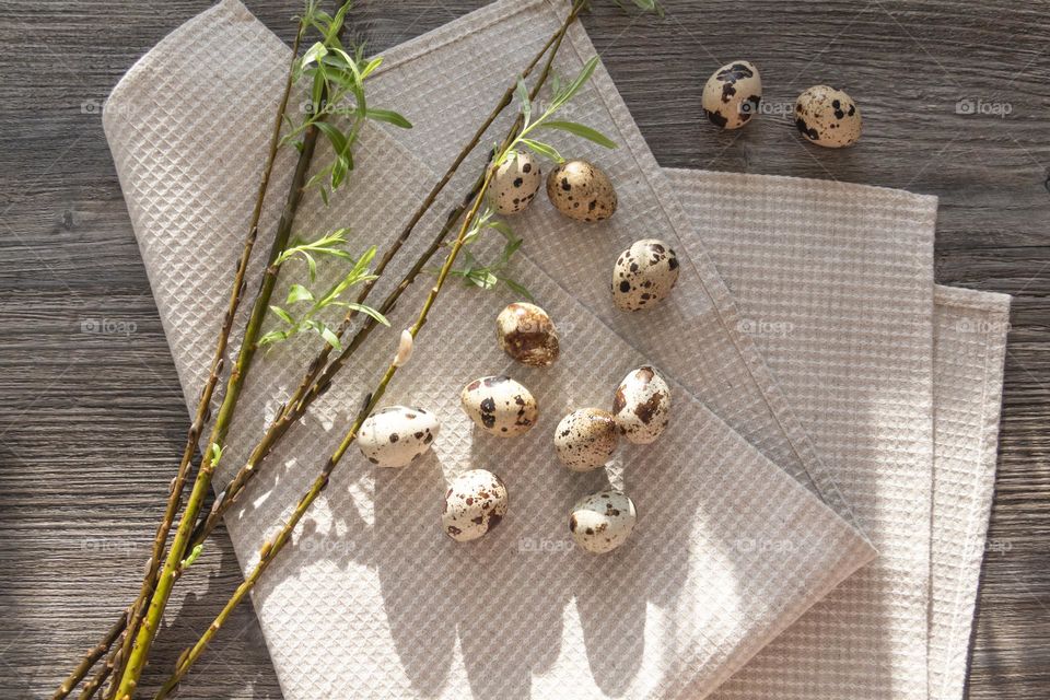 Blooming willow and quail eggs