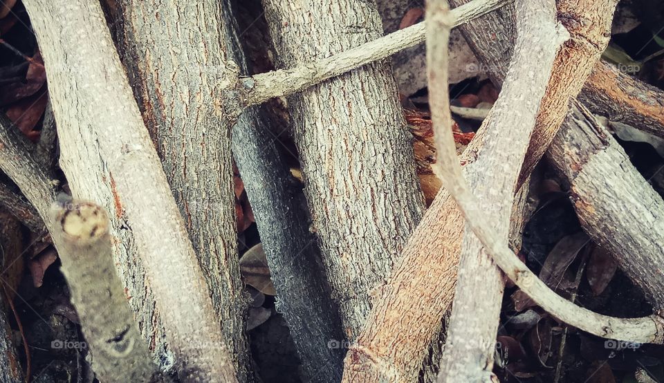 Wood, Tree, Desktop, Texture, Old