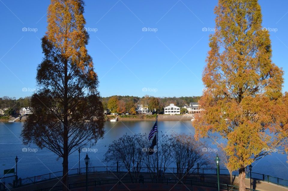 Two Trees and a River