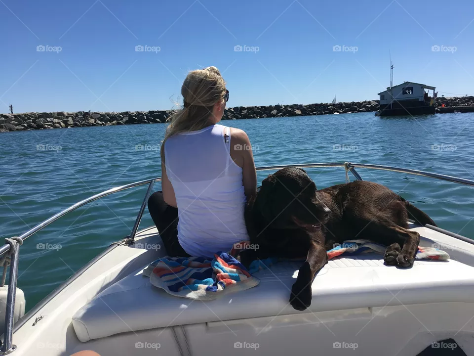 Outdoor activities together with your dog Foap Mission 