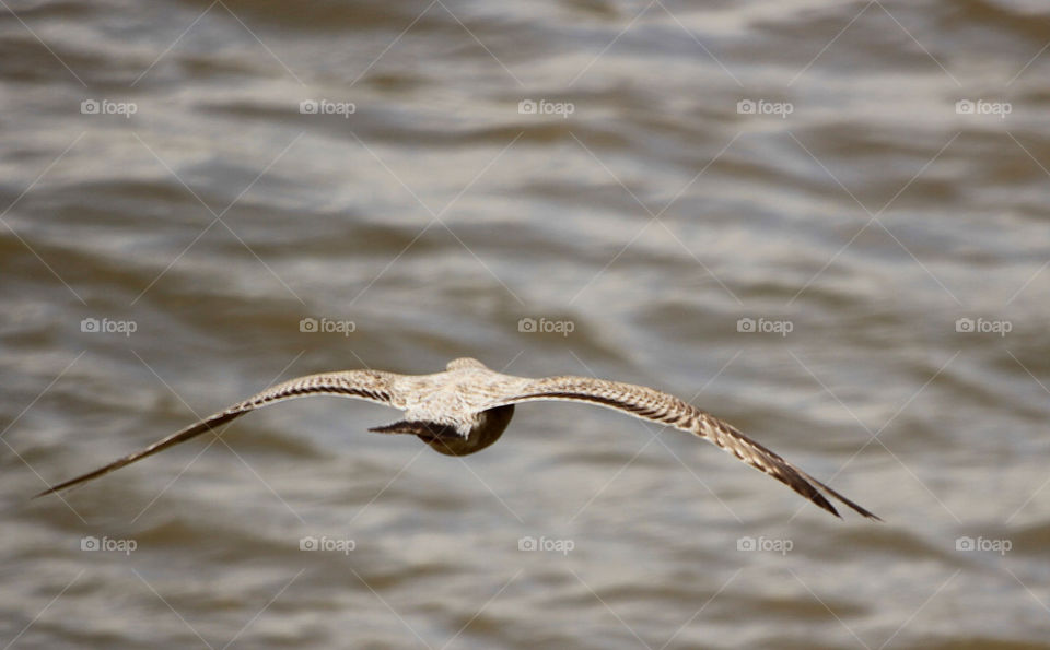 london england flying thames by tjgehc