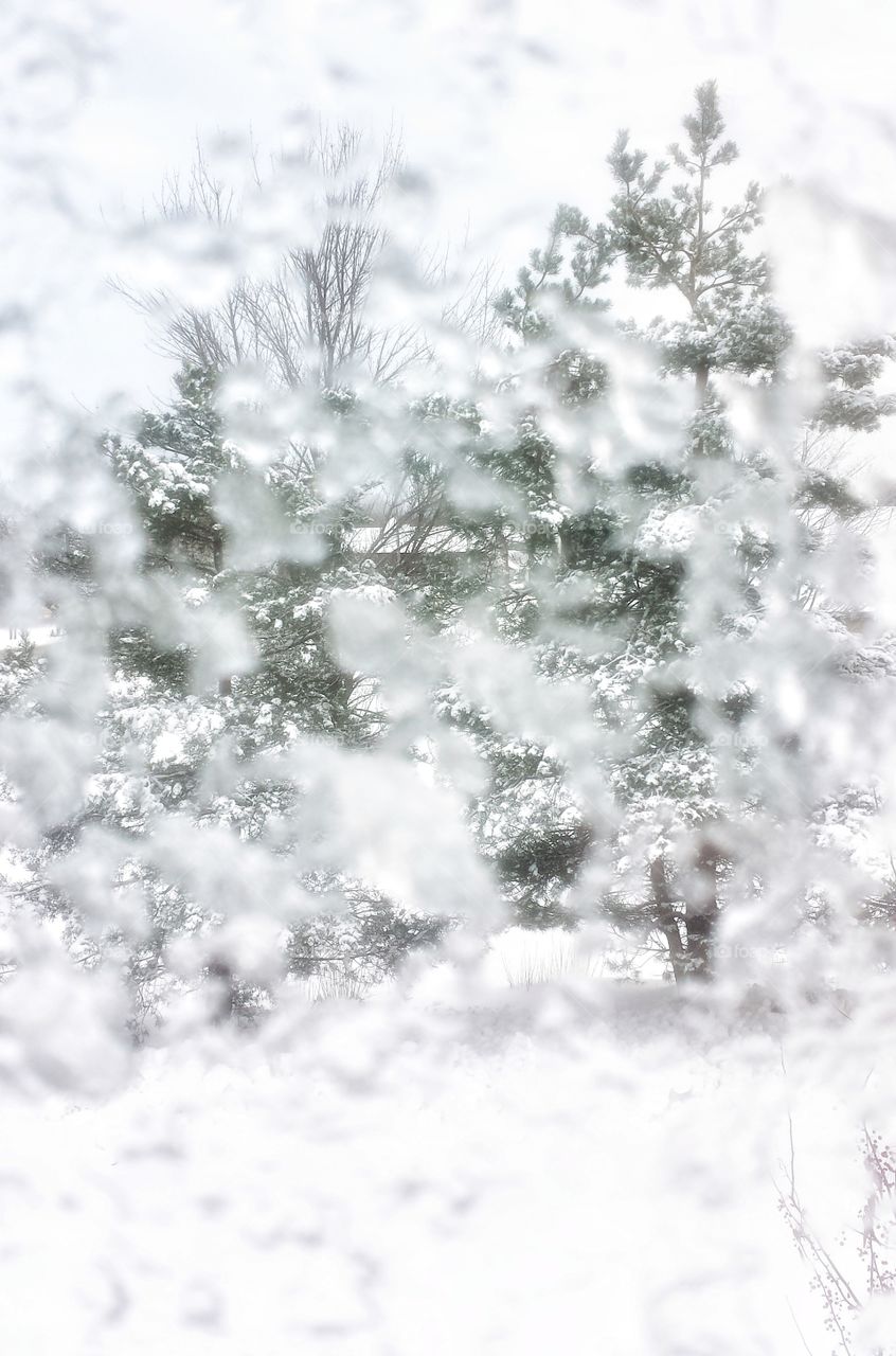 Ice & Snow on Window