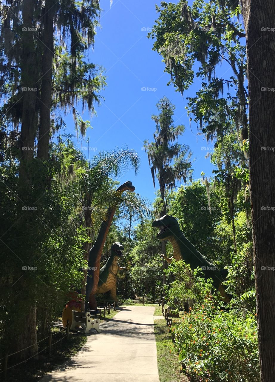 Dinosaur World 