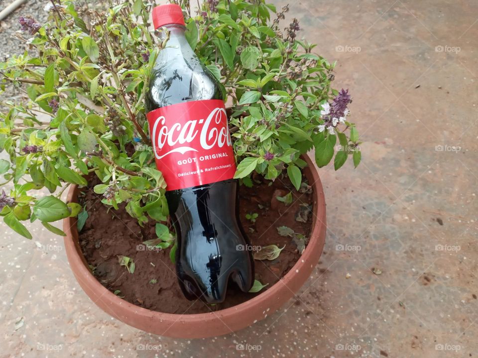Bottle : Coca cola