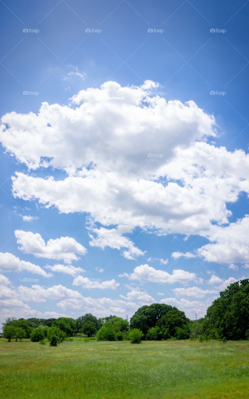 I took this while cruising around town on a particularly nice day. Most of the landscape photos I take are dramatic, so I thought I’d liven things up with a nice, bright photo for once!