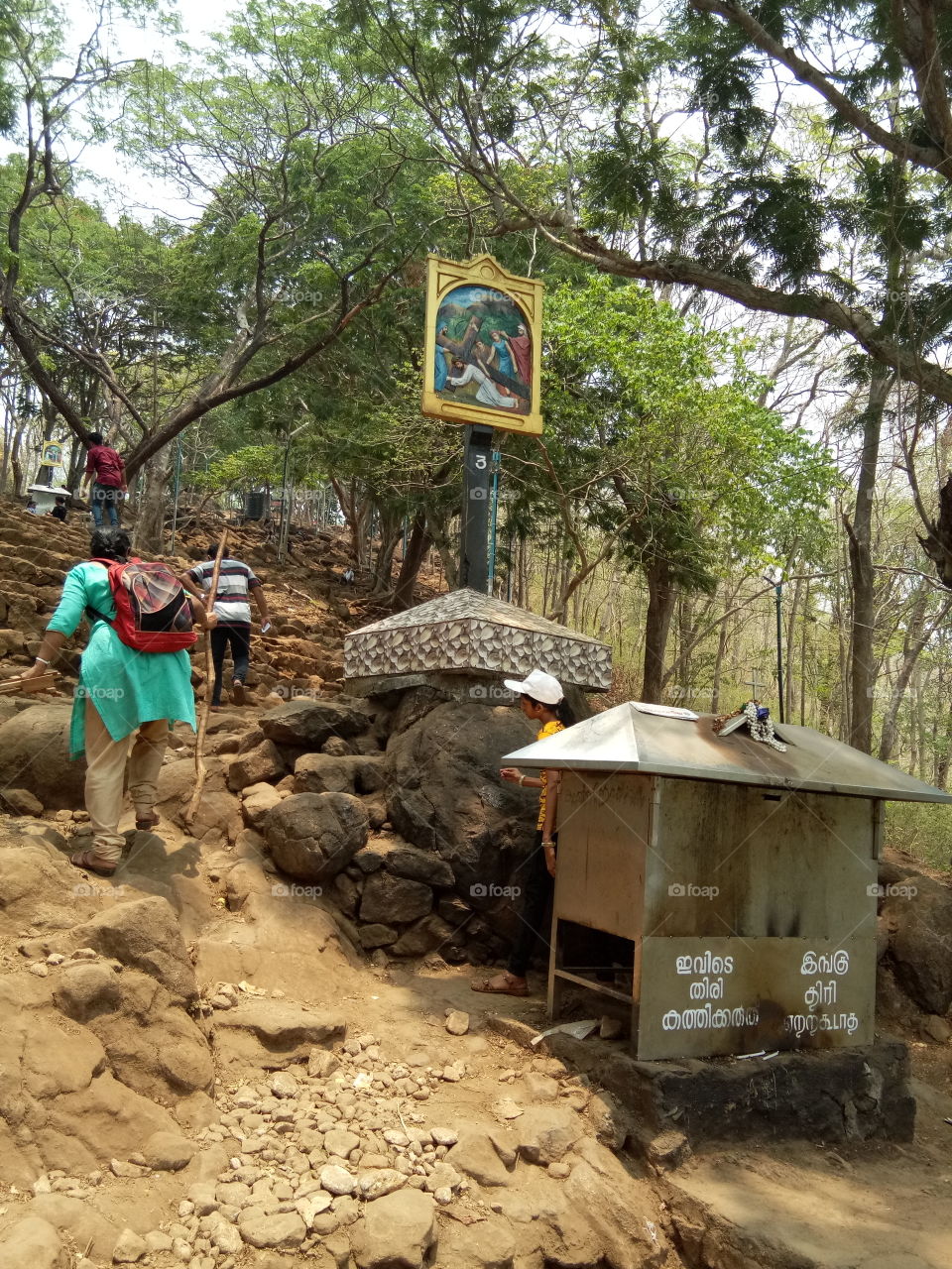 Holly Path at Malayattur