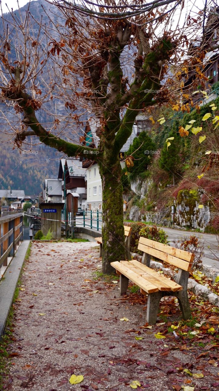 Hallstatt city