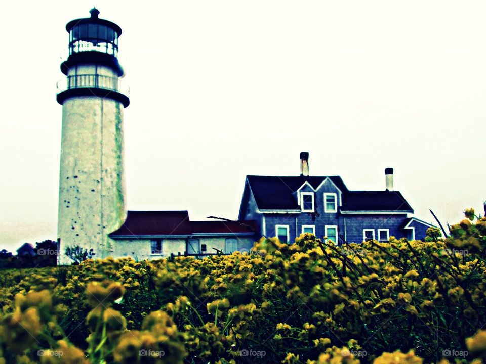 Lighthouse
