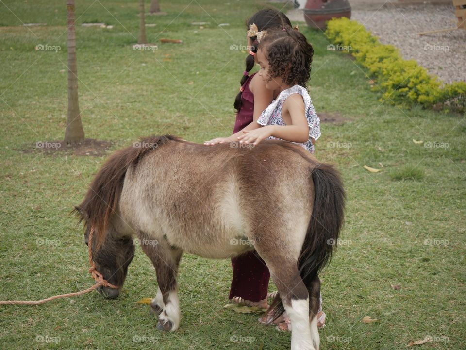 Pony and Childs
