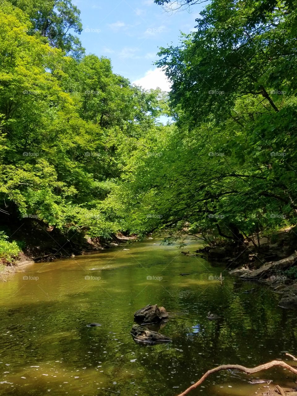 Minneopa State Park