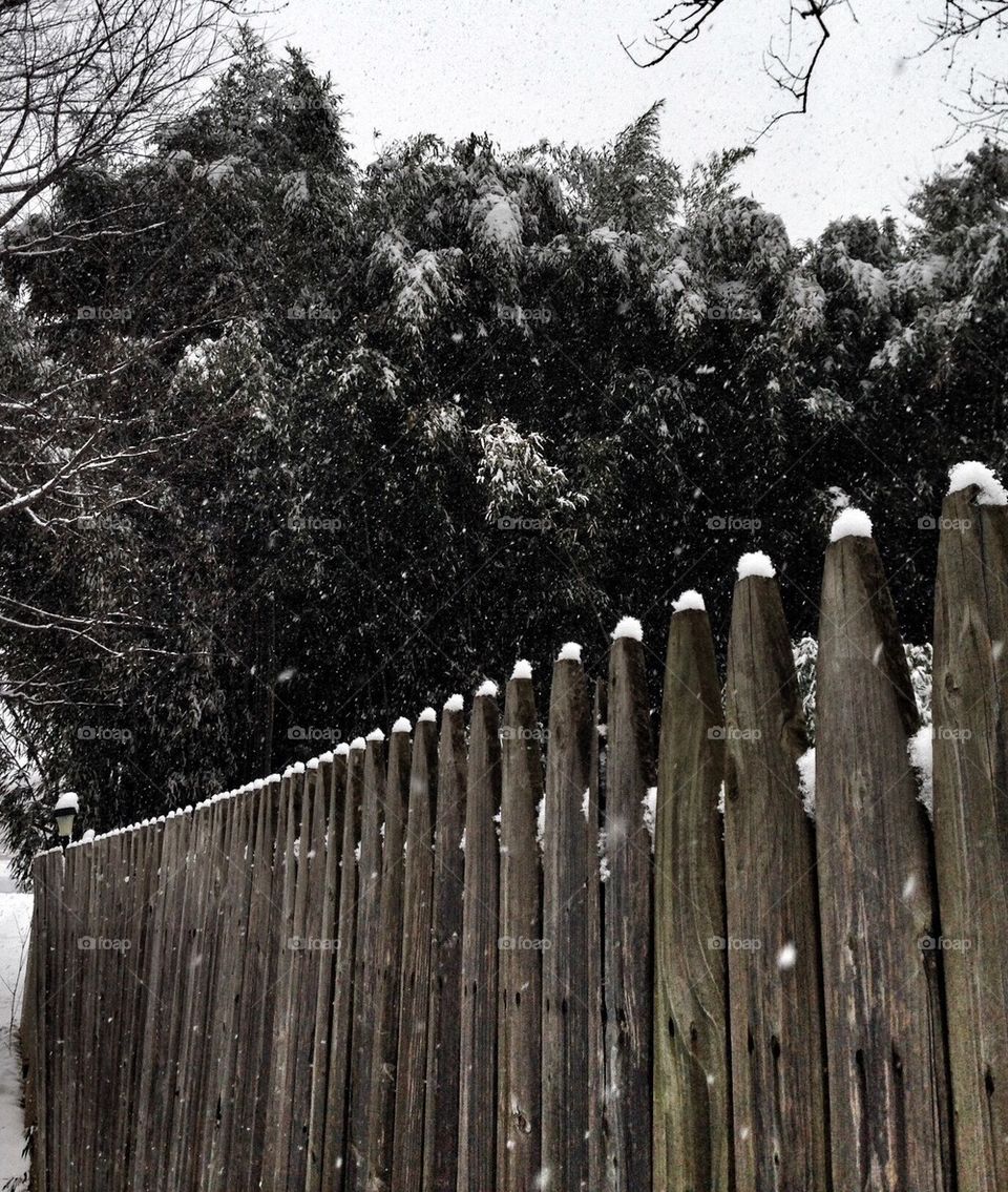 Snowy Fence