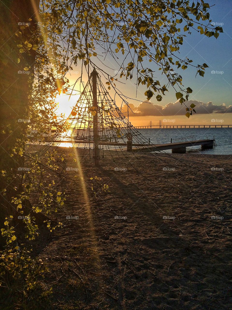 Sunlight on the bridge