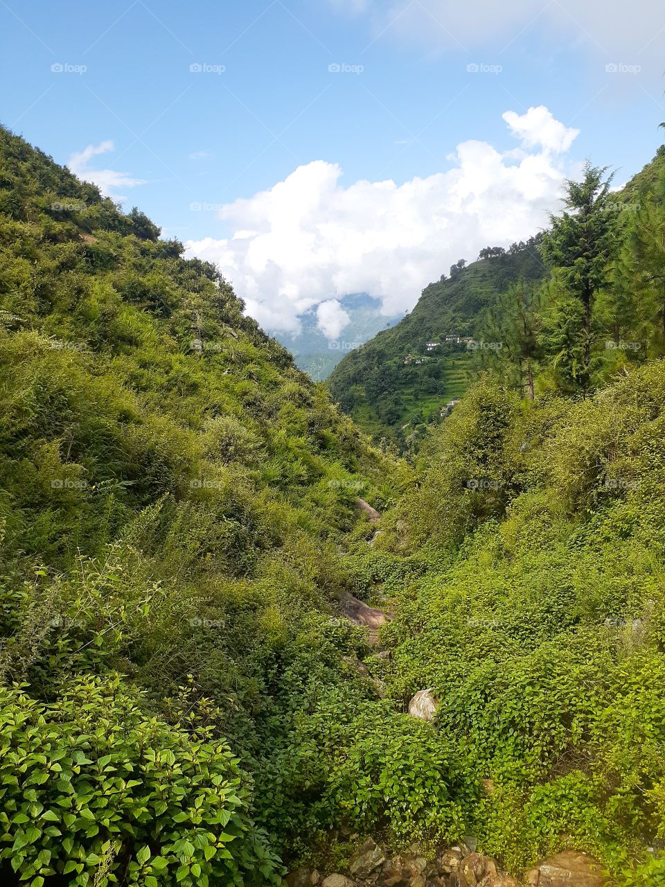 beautiful view uttrakhand