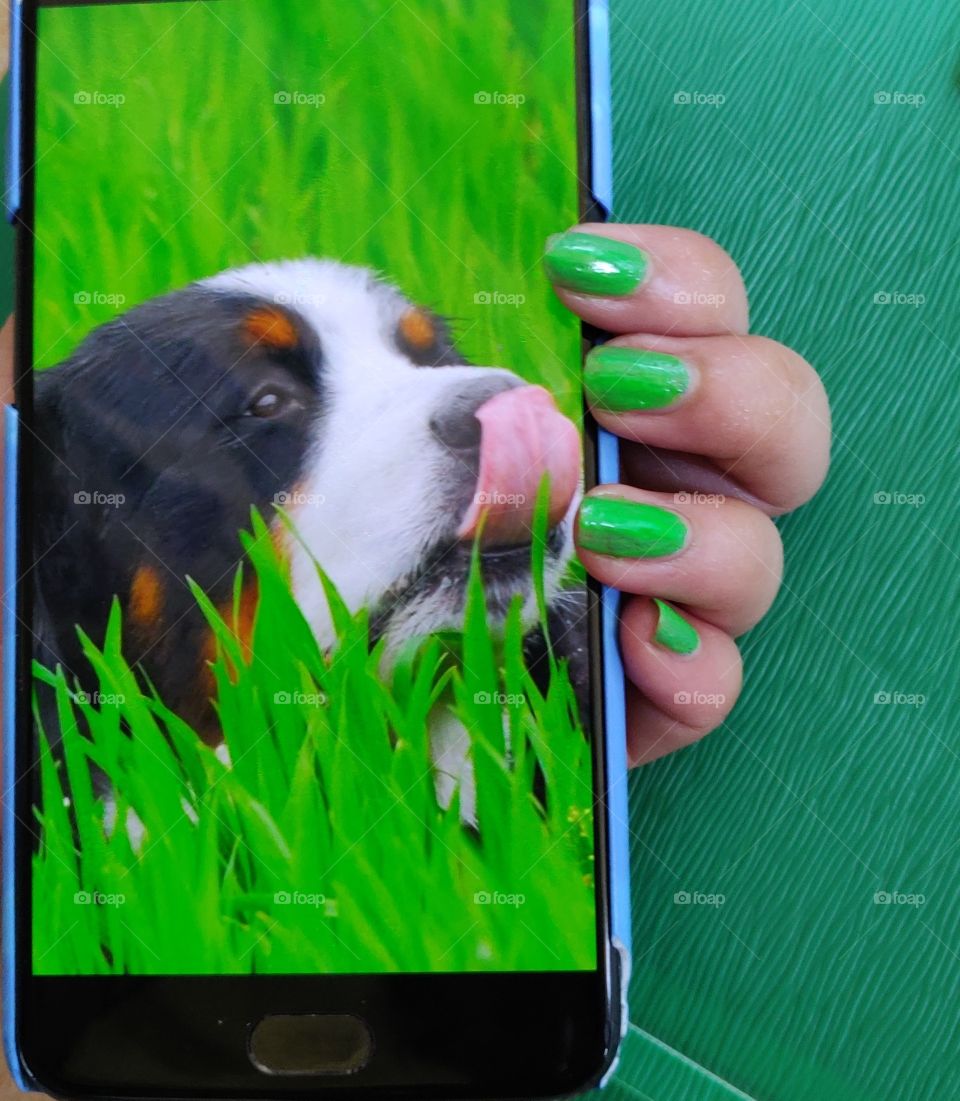 young girl holding a smartphone with green painted nails in green background