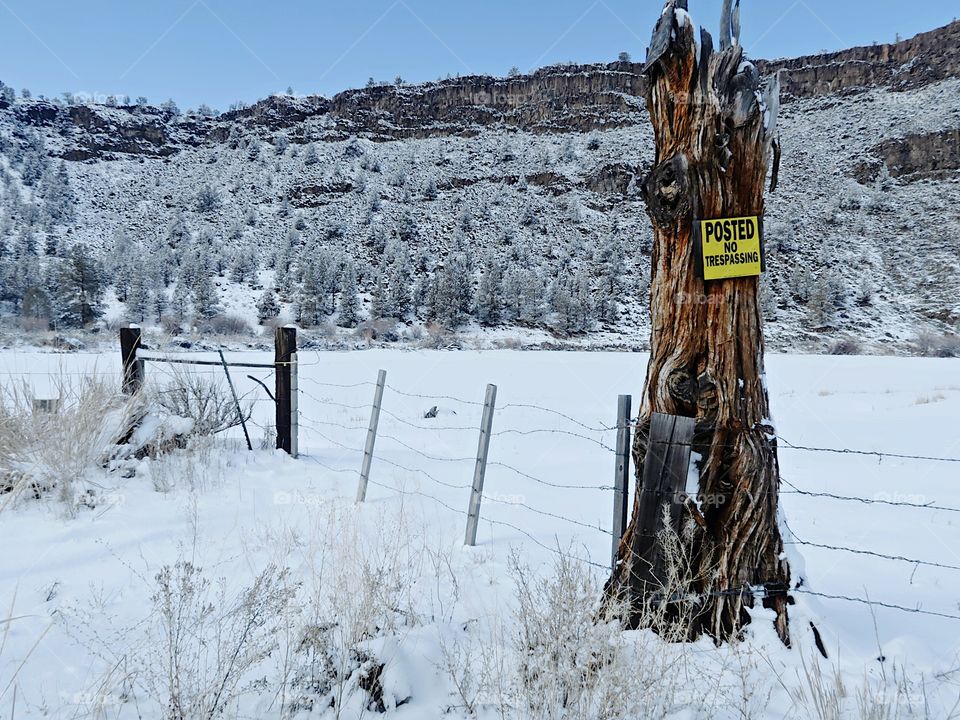 A No Trespassing Sign attached to an old juniper tree in a field covered in fresh snow with rugged hills in the background on a sunny winter day with blue skies in rural Central Oregon. 