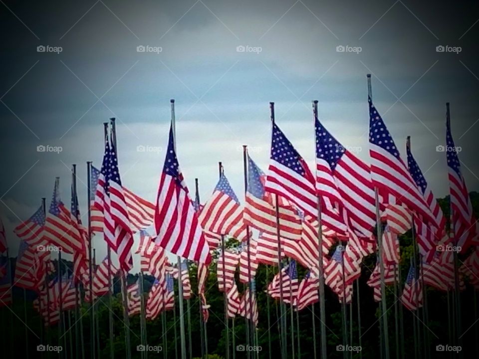 American Legion Flags
