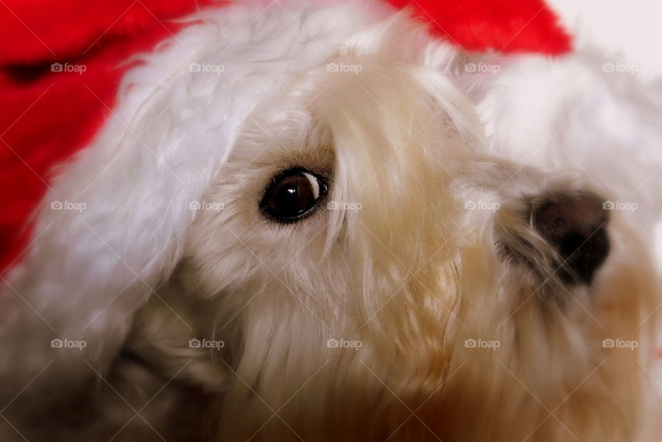 My little Fiete 🎅