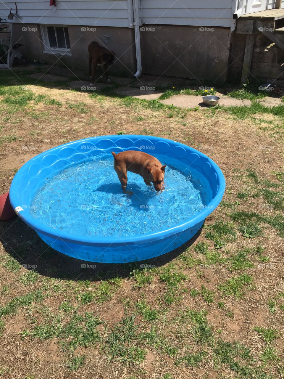 Precious in her pool