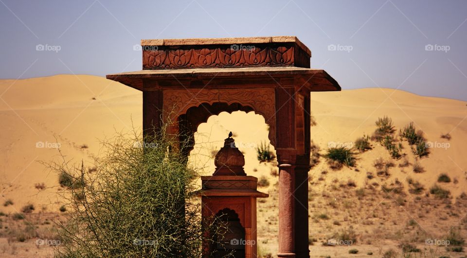 Desert Bird, Thar Desert, India . Desert bird on Shrine 