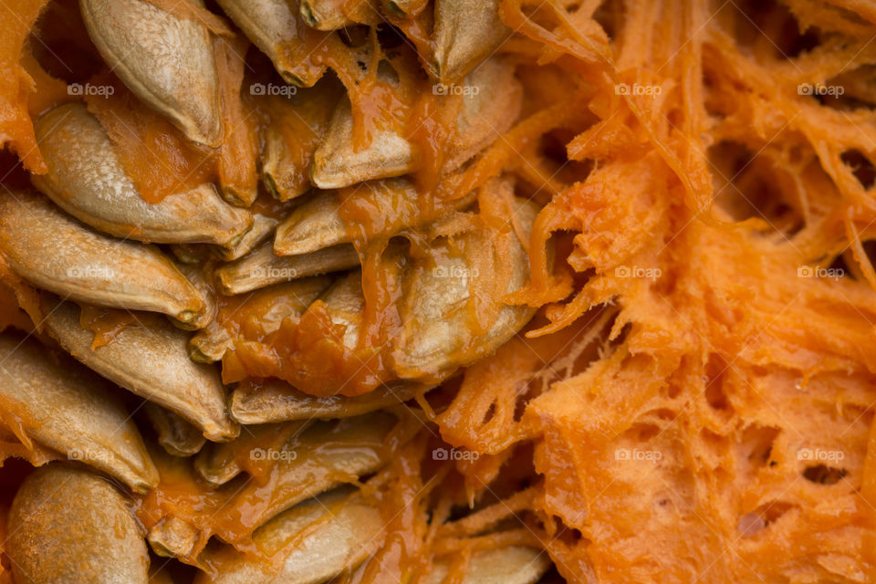 macro shot of the pumpkin seeds.  Halloween concept. beautiful of vegetables