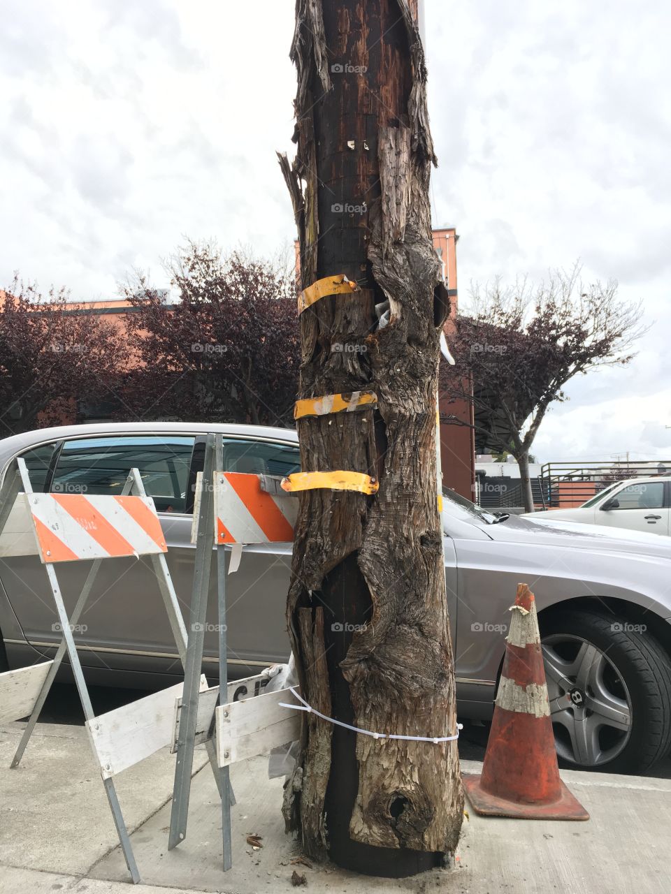 Telephone pole wrapped in tree bark that is nailed, stapled, falling apart, and used to secure traffic signs with a zip tie 