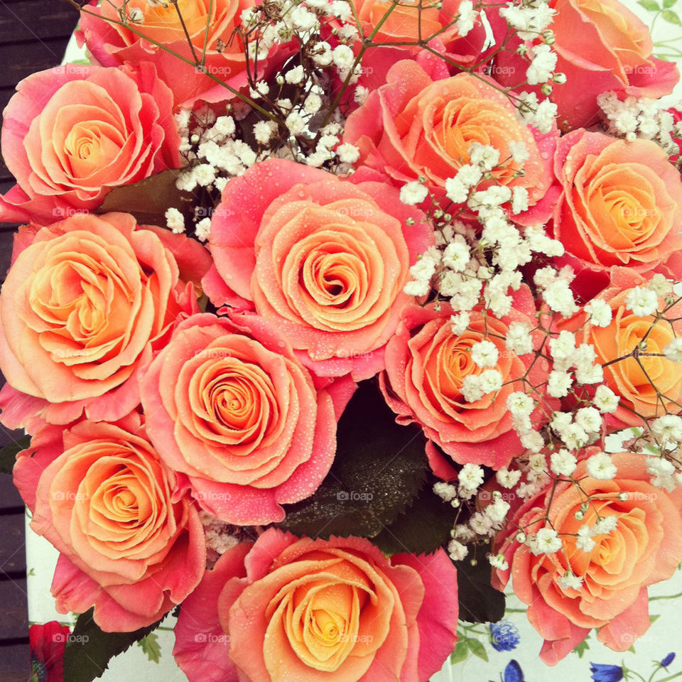 pink white orange roses by miasthoughts