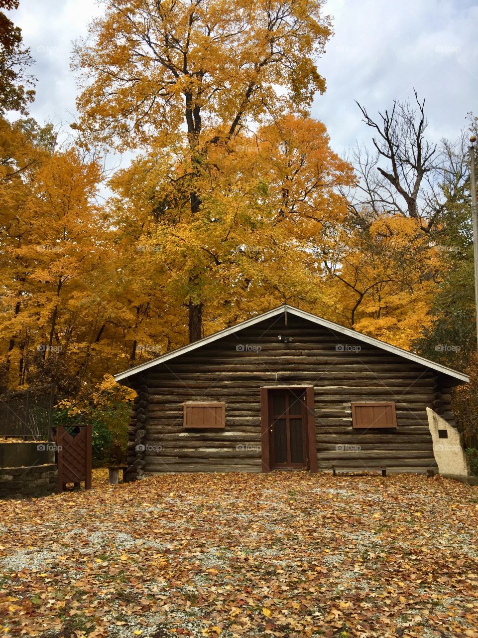 Cabin in the fall