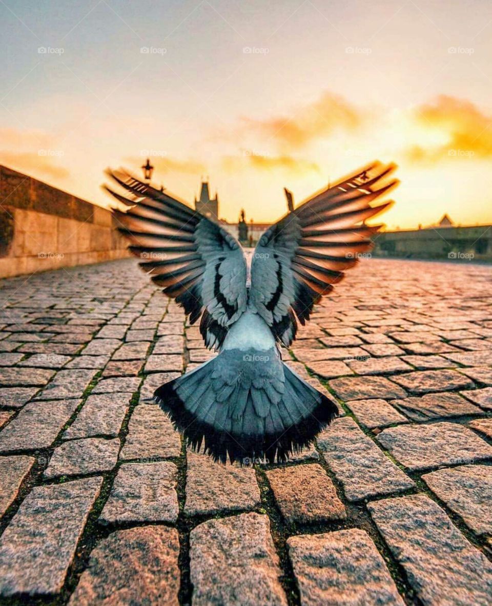 with hope we allways start our day so keep smiling