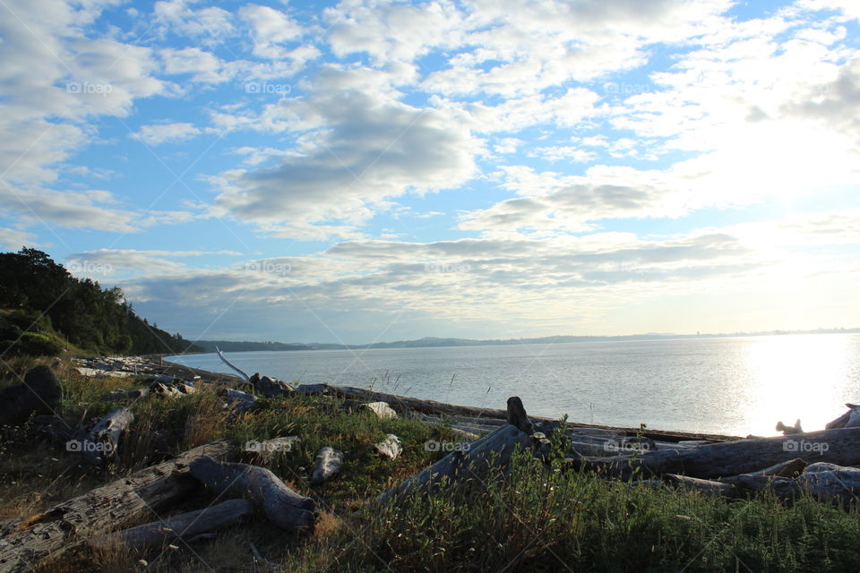 beach at summertime