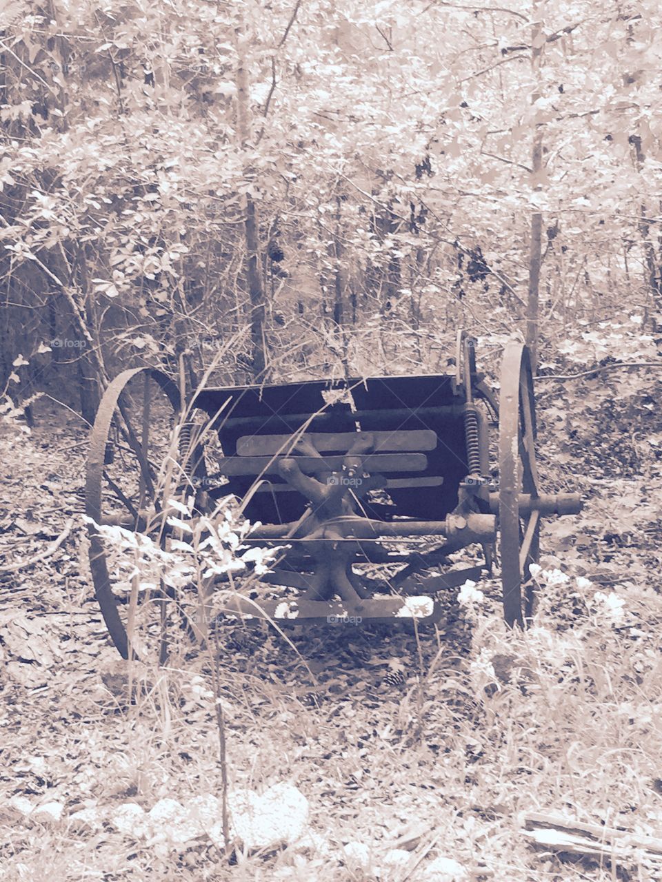 Part of wooden antique wagon out in the  grass. 