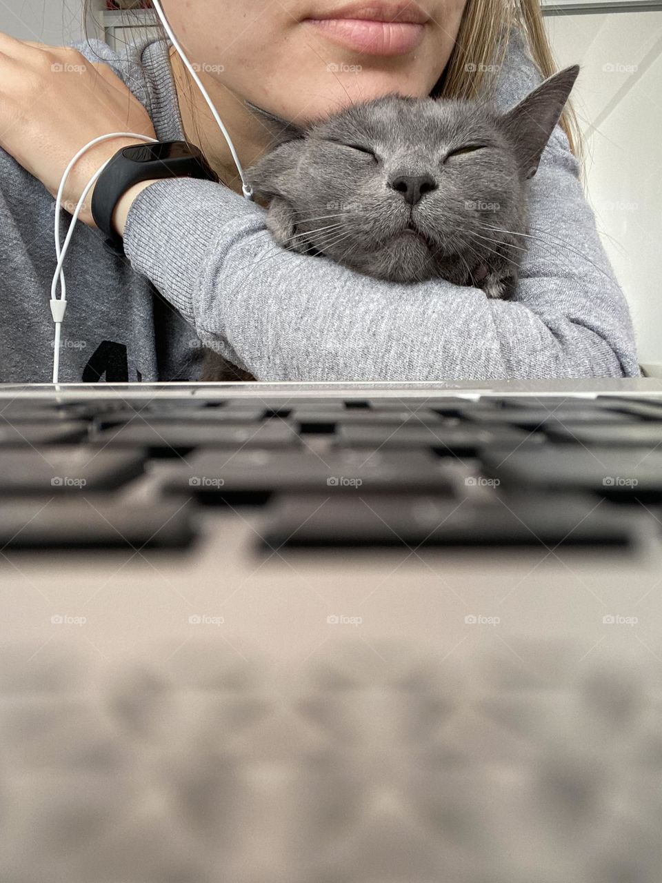 Selfie hugging with pet grey cat in front of the laptop while working from home