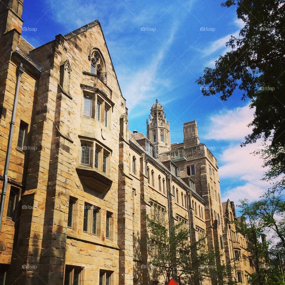 yale university