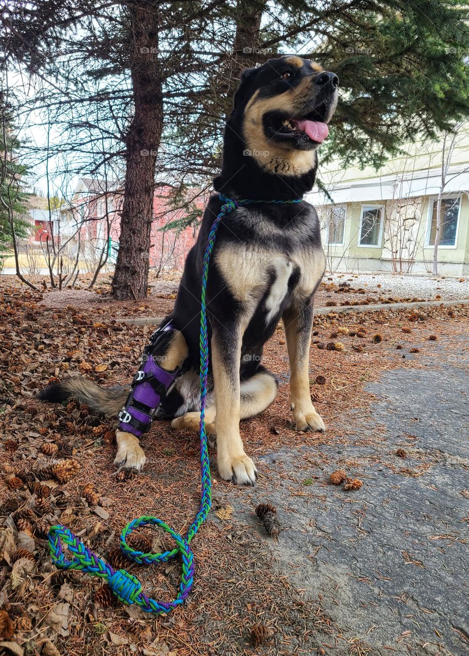 Rebah time with a brace