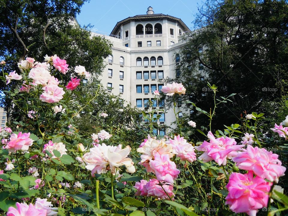 Central Park conservatory garden 