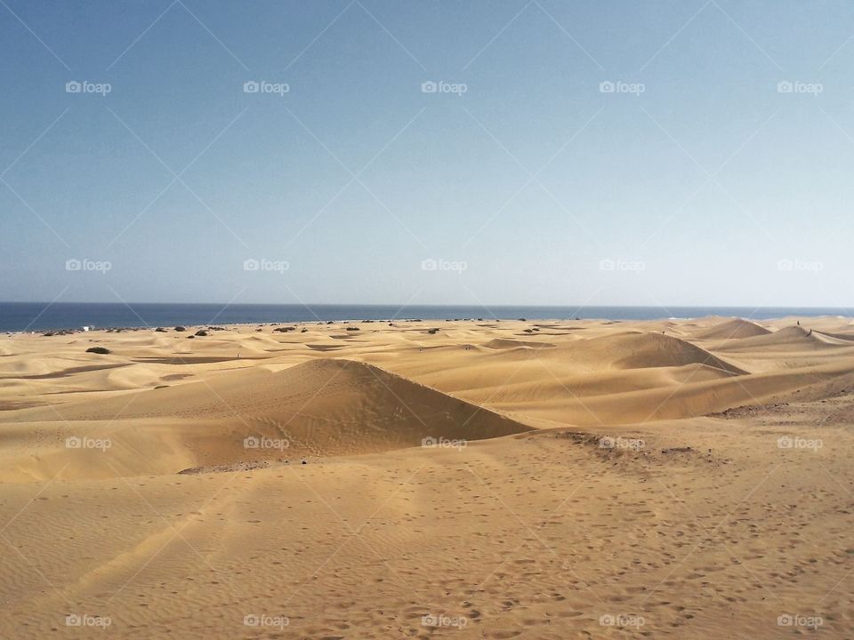 Dunas de Maspalomas 
This amazing area of Maspalomas will provide you with plenty to see and do. The dunes are breathtaking, and the beach stretches for about 4 miles, ensuring that there is plenty of sand for everyone. In 1994 these dunes were declared a national park and are protected. You can walk on the dunes but do be cautious of the midday sun, and take plenty of water.